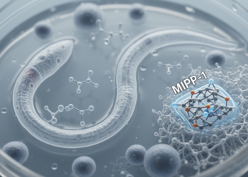 Yak collagen peptides inhibit MMP-1 and extend worm lifespan