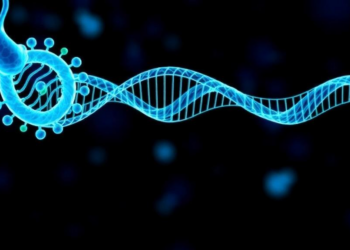 Popular Gene Pathway Scoring Tools Can Silently Erase Disease Signals, Benchmark Warns