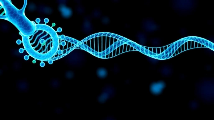 Popular Gene Pathway Scoring Tools Can Silently Erase Disease Signals, Benchmark Warns