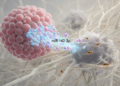 miR-142-3p suppresses tumors but can reshape their surroundings