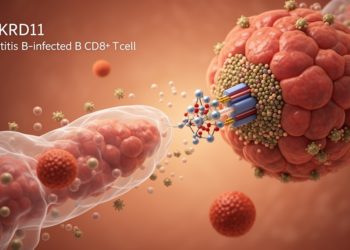 ANKRD11 restrains CD8+ T cells in hepatitis B and cancer models