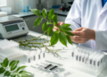 Integrated application of CBDP, iPBS, and SCoT markers with DNA barcoding enables effective classification of Chinese prickly ash (Huajiao)