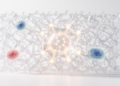 Review positions crosslinking as a multidimensional regulator of regenerative biomaterials