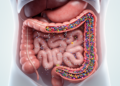 Review examines gut microbial metabolites in radiation enteritis