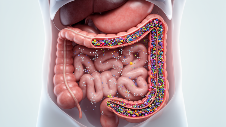 Review examines gut microbial metabolites in radiation enteritis