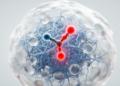 Fibril-selective nanantibody reduces amyloid injury signals in human brain models