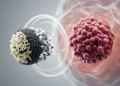 Research report: Pluronic F-127-functionalized magnetic ternary hybrid nanoparticles for co-delivery of paclitaxel and psoralen: a synergistic strategy to overcome multidrug resistance in triple-negative breast cancer