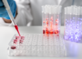 Elevated ELABELA levels distinguish neonatal risk groups from controls