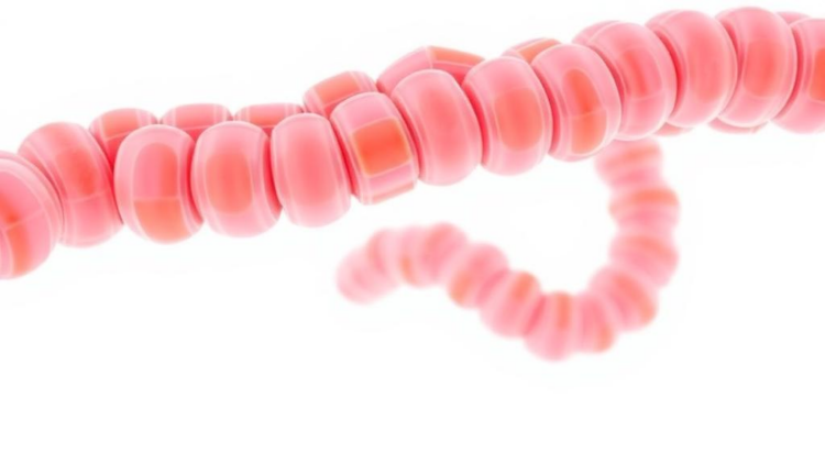 Gut bacteria team up: how fiber's effects depend on microbial neighbors