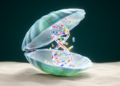 Cementing bivalve genome reveals codon reassignment and reshuffled karyotypes