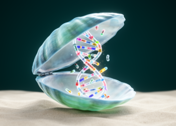 Cementing bivalve genome reveals codon reassignment and reshuffled karyotypes