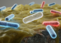 Colistin Reshapes Biofilms and Cell-Surface Charge in Environmental Pseudomonas
