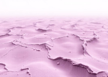 Editors Retract Breast Cancer Study After Overlapping Migration and Invasion Images Surface