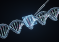 PELICAN Tool Improves Gene Recall in Bacteriophage Genome Annotation