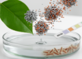 Plant-based silver-copper oxide nanocomposite senses nitrite and curbs bacteria