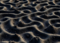 Machine Learning Leads Soil Mapping Race, but No Single Model Wins Everywhere
