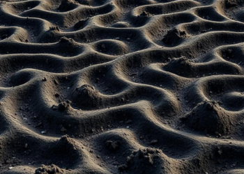Machine Learning Leads Soil Mapping Race, but No Single Model Wins Everywhere