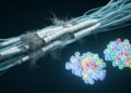 Data-driven subtypes reveal hidden diversity in chronic inflammatory demyelinating polyneuropathy