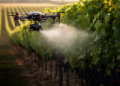 Dense Vine Canopies Leave Lower Grapevine Layers Under-Sprayed, Drone Trial Finds