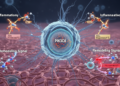 Fibroblast Gene Profiling Reveals Inflammatory and Remodeling Signals in PIK3CA Overgrowth Spectrum