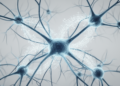 Threat Cues, Not Shocks Alone, Reshape Nucleus Accumbens Neurons