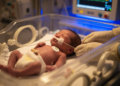 Prolonged Respiratory Support May Amplify Heart-Lung Risk in Preterm Infants