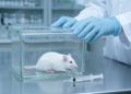 Istradefylline Blocks Oxygen-Induced Seizures in Mice, Study Finds