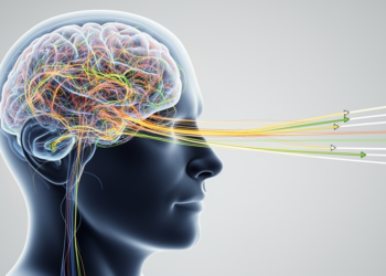 Drivers' Brains Simplify: Eye, Head and Steering Movements Collapse Onto Few Dimensions at Hazardous Moments