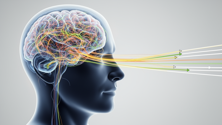 Drivers' Brains Simplify: Eye, Head and Steering Movements Collapse Onto Few Dimensions at Hazardous Moments