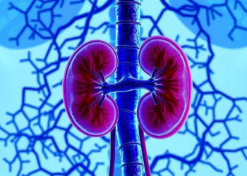 RNA-Binding Protein PTBP3 Drives Kidney Scarring in Diabetes, Study Finds