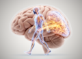 Movement Enhances Complex Pattern Learning, Study Finds