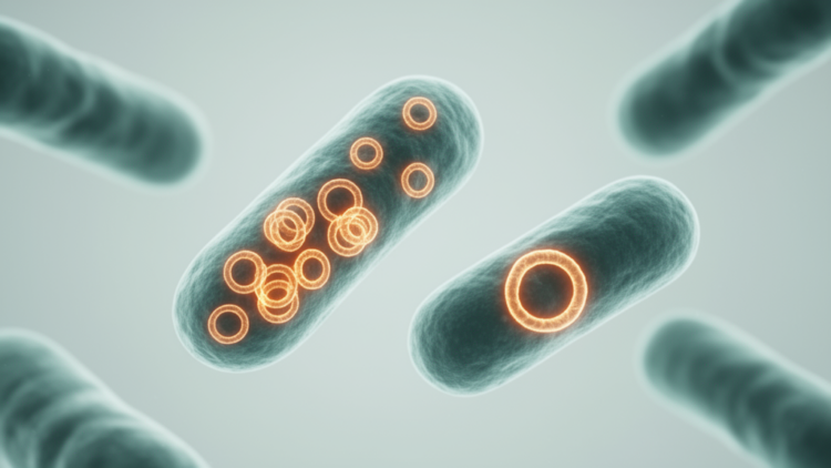 Engineered RepE Variants Tune Plasmid Copy Number in Bacteria