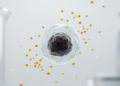 Cysteine Dependence Reveals Metabolic Weakness in Small Cell Lung Cancer