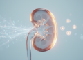 Machine Learning Model Improves Kidney Function Estimates in Young People