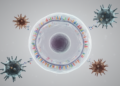 Primer: Genotype Interactions Maintain Host and Parasite Diversity