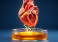 Blood proteins reveal right ventricular remodeling after tetralogy of Fallot repair