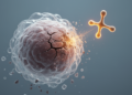 Phage Protein Lys33795 Combines Cell-Wall Lysis and Capsule Degradation Against Streptococcus suis Biofilms