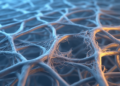 Nearly 38% of Danes Live With Chronic Disease Linked to Flawed Tissue Scaffolding
