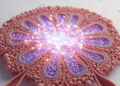 Epithelial and Mesenchymal Stem Cells Shape Mammary Gland Biology