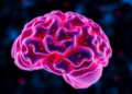 Brain Fluid Protein Hemopexin Sparks Scientific Debate Over Sepsis Detection After Stroke