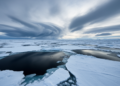 Fourteen Winters of Alaskan Data Reveal How Sea Ice Openings Feed Arctic Wintertime Clouds