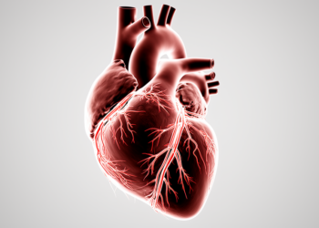 Research report: Influence of perfusion pressure on image quality in postmortem CT angiography (PMCTA) of coronary arteries: a pilot study