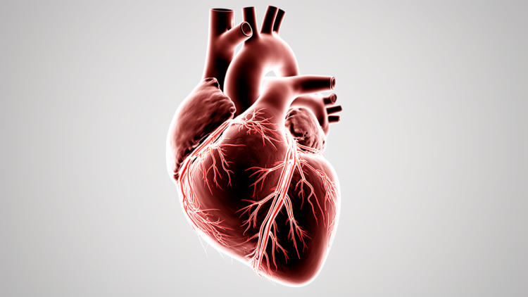 Research report: Influence of perfusion pressure on image quality in postmortem CT angiography (PMCTA) of coronary arteries: a pilot study