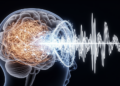 Kalman Filter Approach Offers Interpretable Real-Time Sleep Spindle Detection