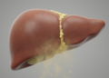 Experimental drug rejuvenates aged rat livers, halving amyloid beta and LDL