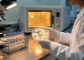 Trichosporon asahii Dominates Clinical Isolates in South China, With Voriconazole the Most Active Drug