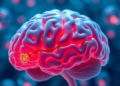 Brain Cells Have a Fat Sensor That Keeps Their Recycling Plants Running