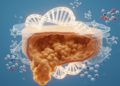 Rare Esophageal Cancer Subtype Reveals Diagnostic and Therapeutic Signatures Through Multi-Omics Profiling