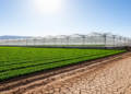 Almeria's Greenhouse Miracle Shows Water Efficiency Alone Cannot Save Aquifers