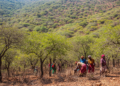 Ethiopian dry mountain forest holds 57 woody species under growing human pressure